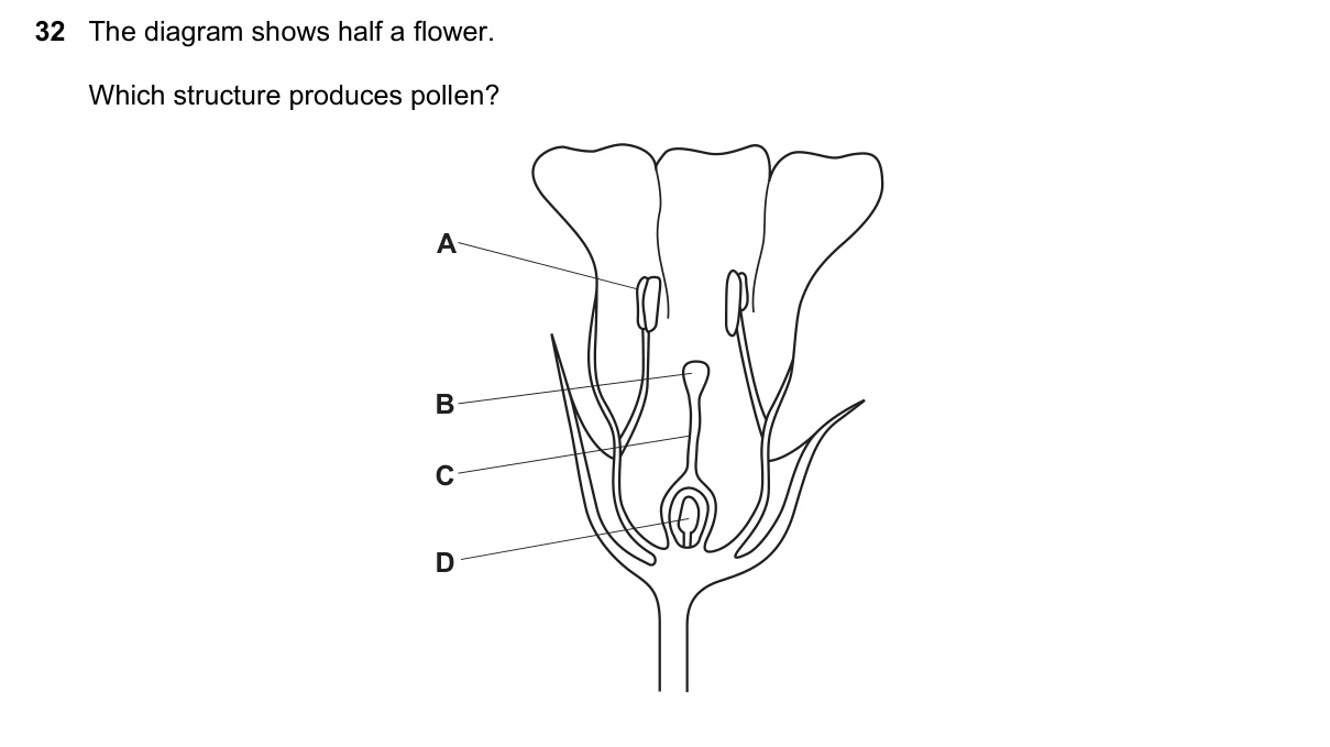 Question 32, November 2023, 0610 Paper 12