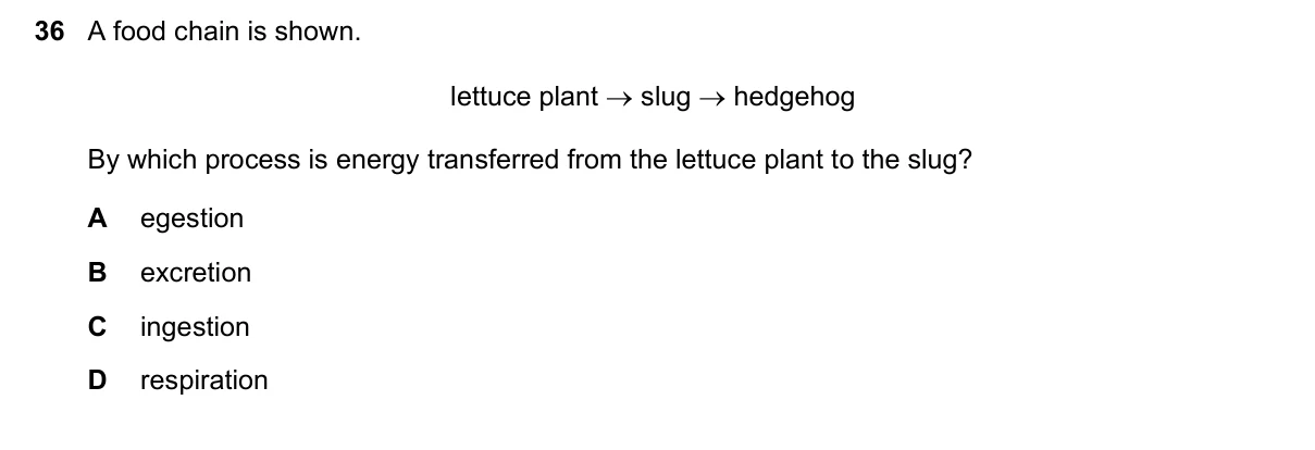 Question 36, November 2023, 0610 Paper 12