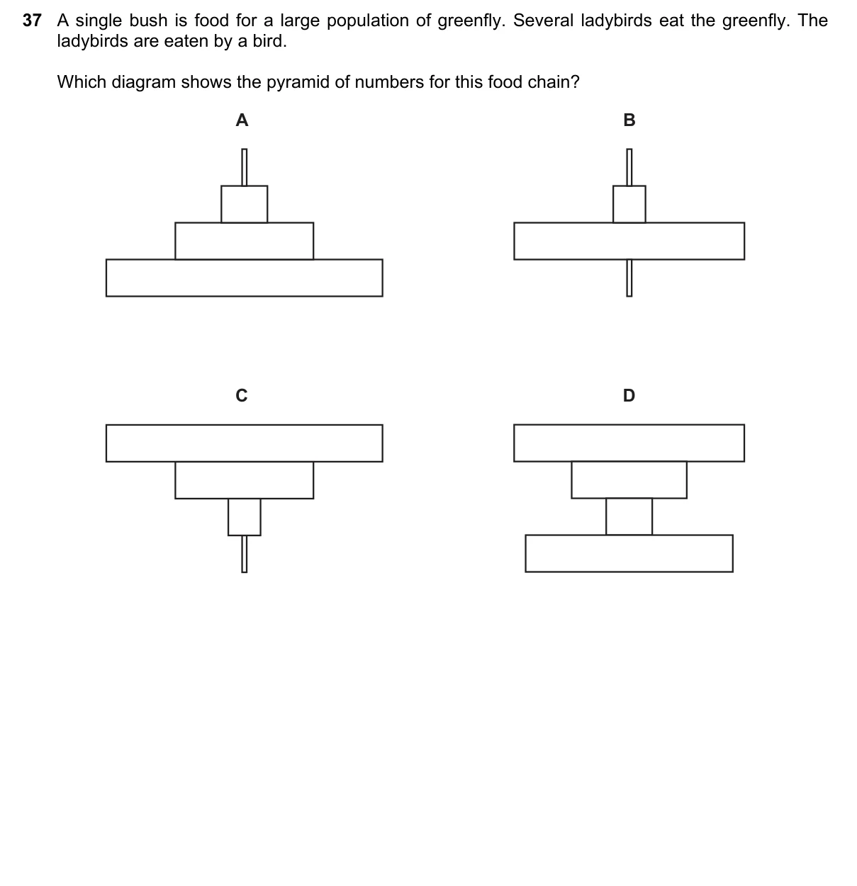 Question 37, November 2023, 0610 Paper 12