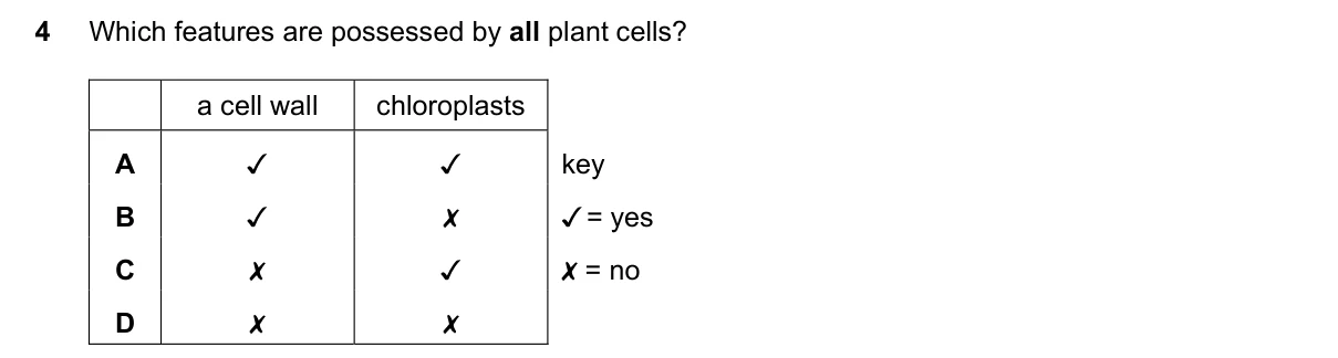 Question 4, November 2023, 0610 Paper 12