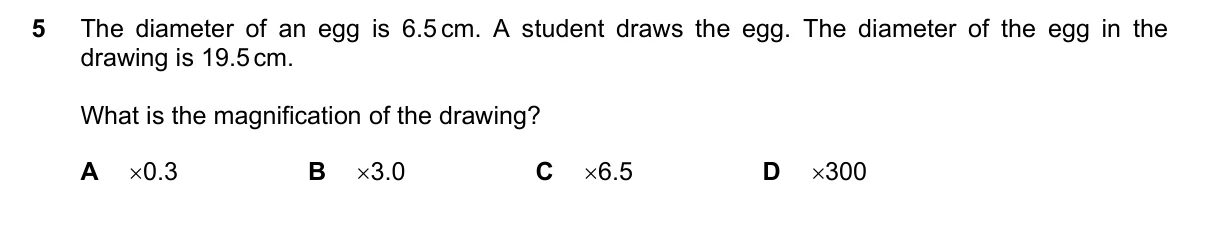 Question 5, November 2023, 0610 Paper 12