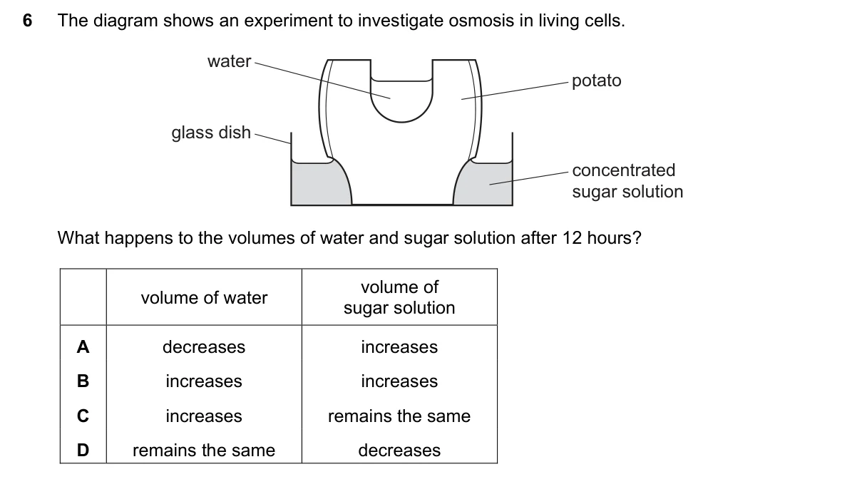 Question 6, November 2023, 0610 Paper 12