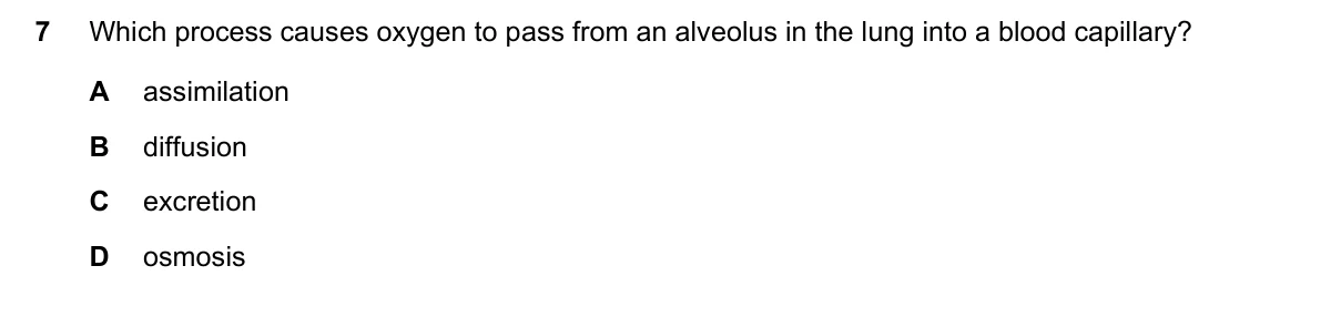 Question 7, November 2023, 0610 Paper 12