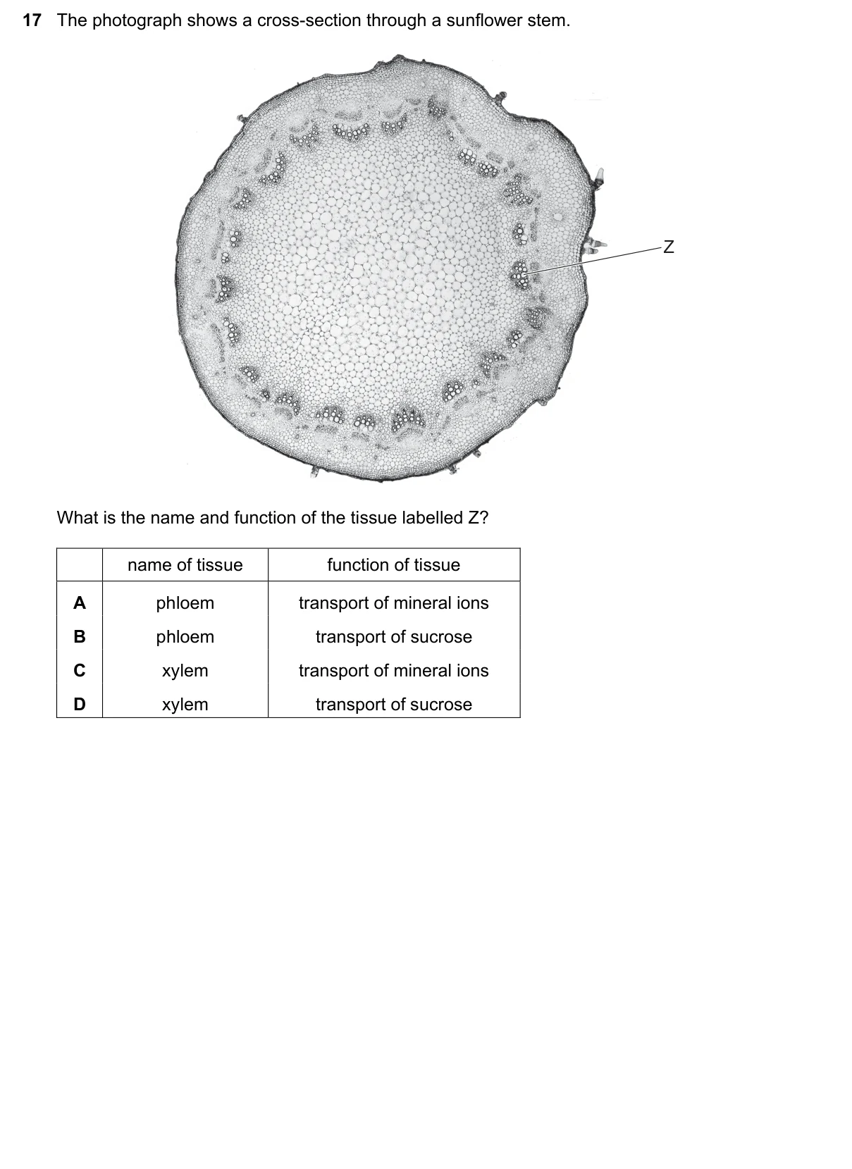 Question 17, November 2023, 0610 Paper 22