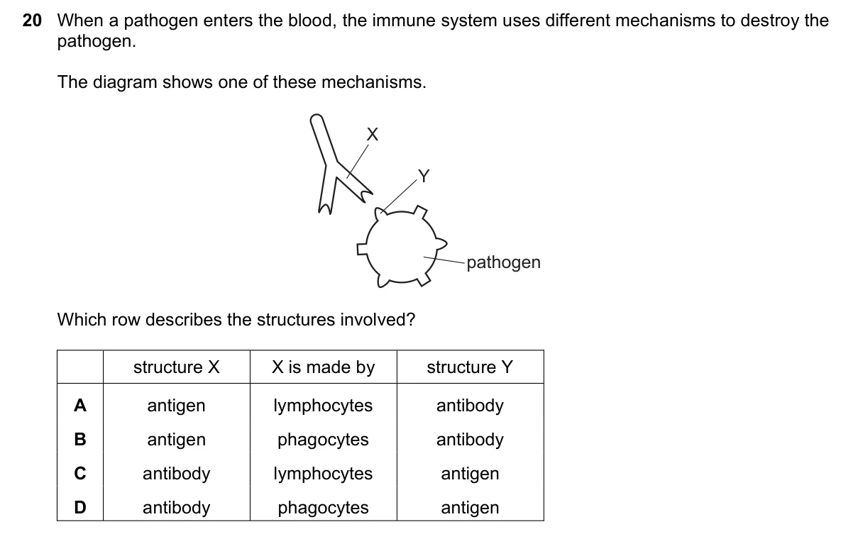 Question 20, November 2023, 0610 Paper 22