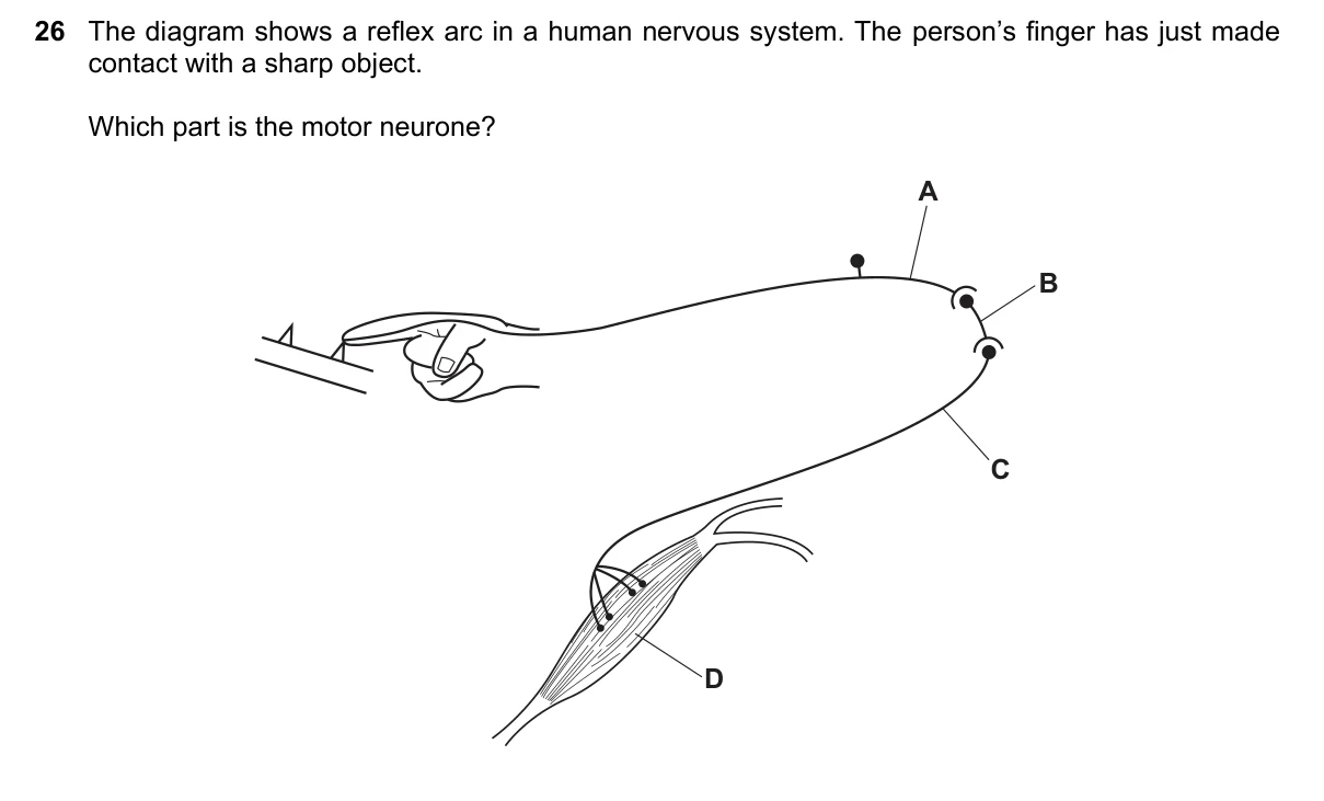 Question 26, November 2023, 0610 Paper 22