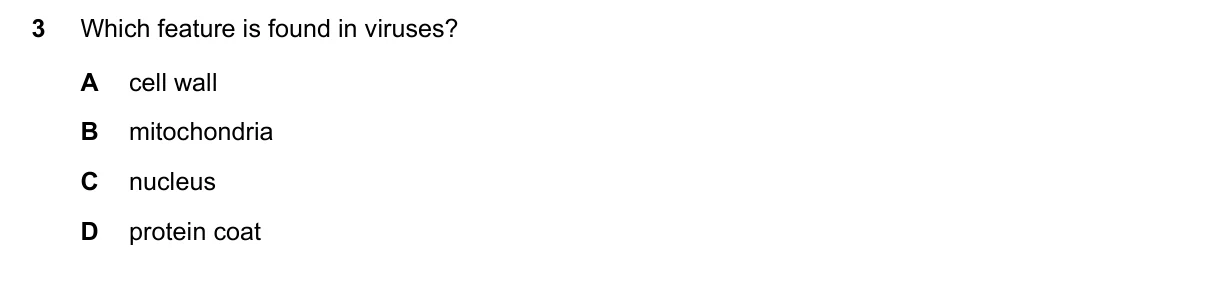 Question 3, November 2023, 0610 Paper 22