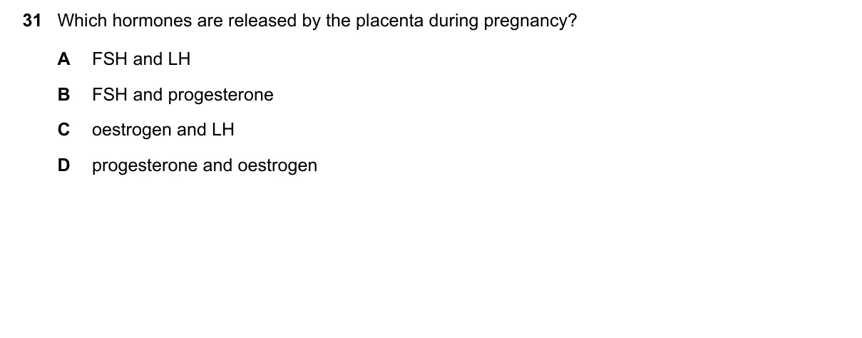 Question 31, November 2023, 0610 Paper 22