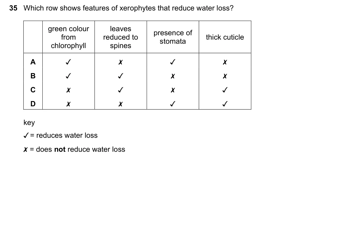 Question 35, November 2023, 0610 Paper 22