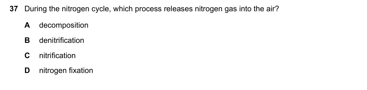 Question 37, November 2023, 0610 Paper 22