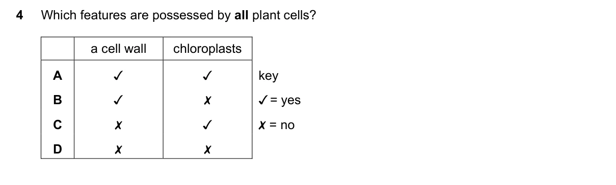 Question 4, November 2023, 0610 Paper 22