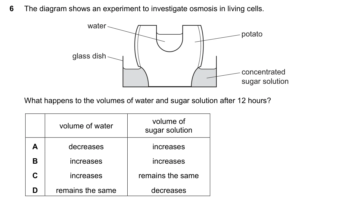 Question 6, November 2023, 0610 Paper 22