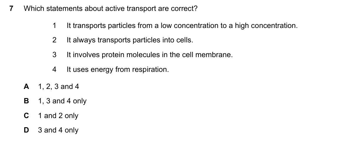 Question 7, November 2023, 0610 Paper 22