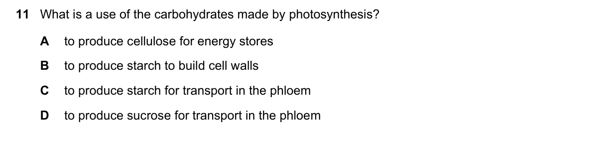 Question 11, November 2023, 0610 Paper 13