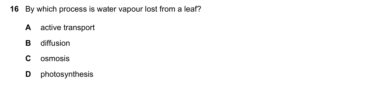 Question 16, November 2023, 0610 Paper 13