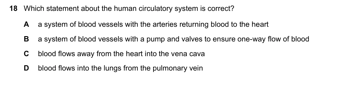Question 18, November 2023, 0610 Paper 13