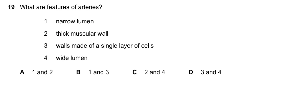 Question 19, November 2023, 0610 Paper 13