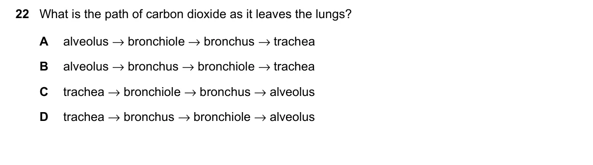 Question 22, November 2023, 0610 Paper 13