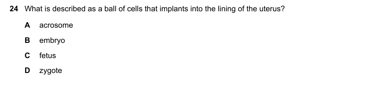 Question 24, November 2023, 0610 Paper 13