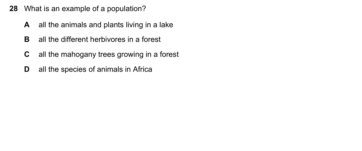 Question 28, November 2023, 0610 Paper 13