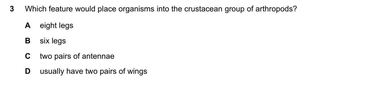 Question 3, November 2023, 0610 Paper 13