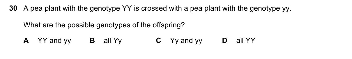 Question 30, November 2023, 0610 Paper 13