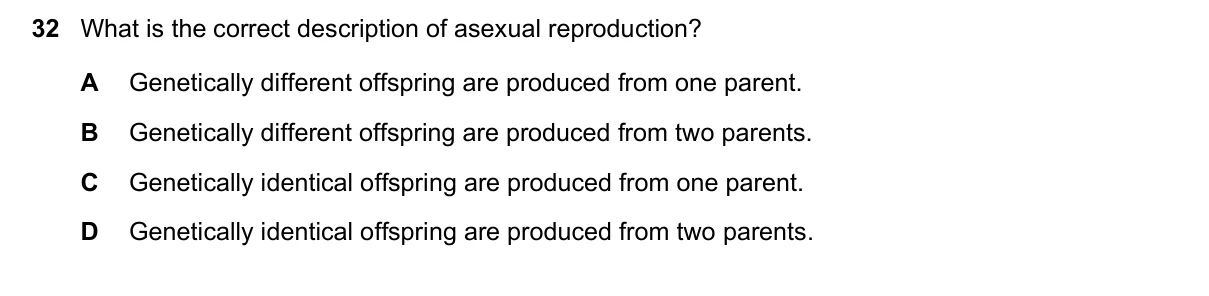 Question 32, November 2023, 0610 Paper 13