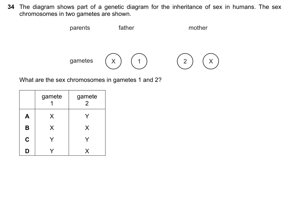 Question 34, November 2023, 0610 Paper 13