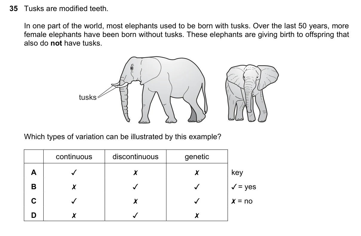 Question 35, November 2023, 0610 Paper 13