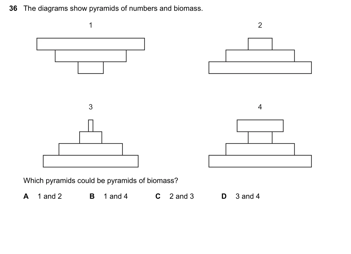 Question 36, November 2023, 0610 Paper 13