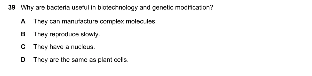 Question 39, November 2023, 0610 Paper 13