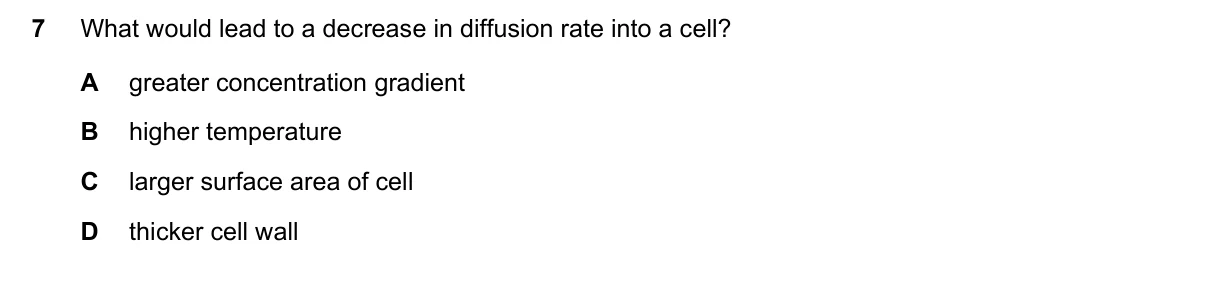 Question 7, November 2023, 0610 Paper 13