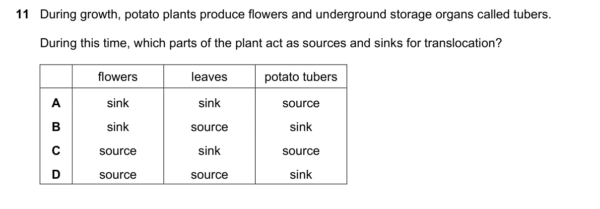 Question 11, November 2023, 0610 Paper 23