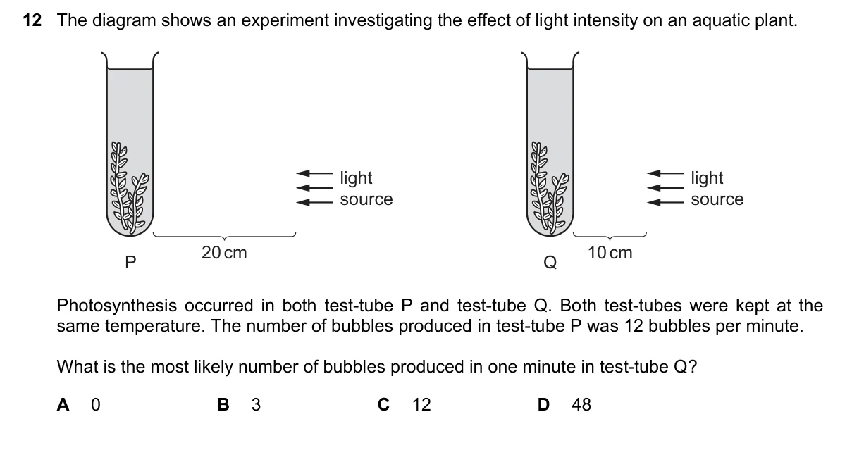 Question 12, November 2023, 0610 Paper 23