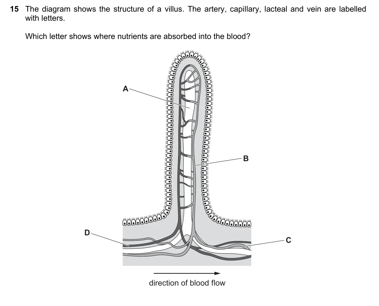 Question 15, November 2023, 0610 Paper 23