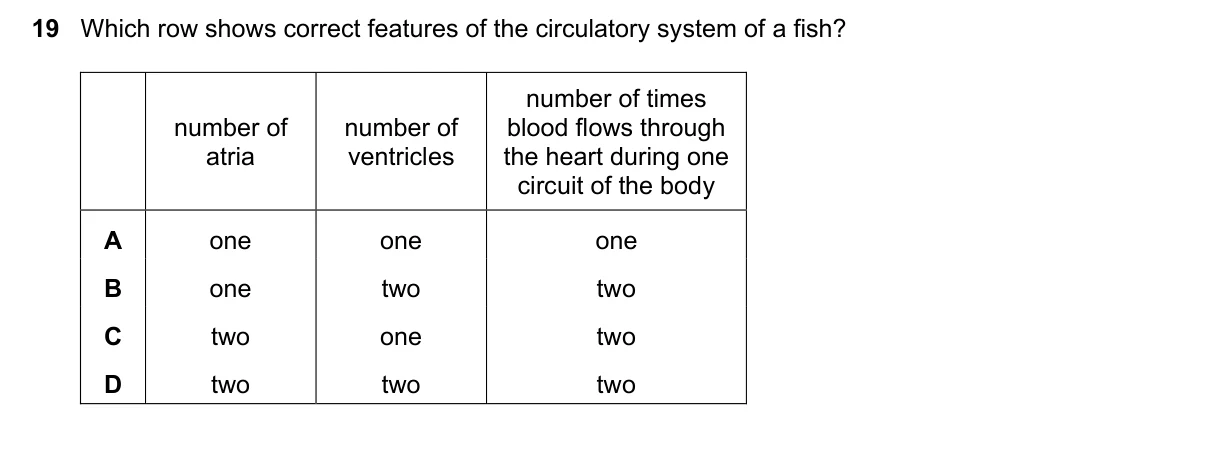 Question 19, November 2023, 0610 Paper 23