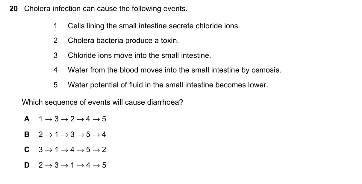 Question 20, November 2023, 0610 Paper 23