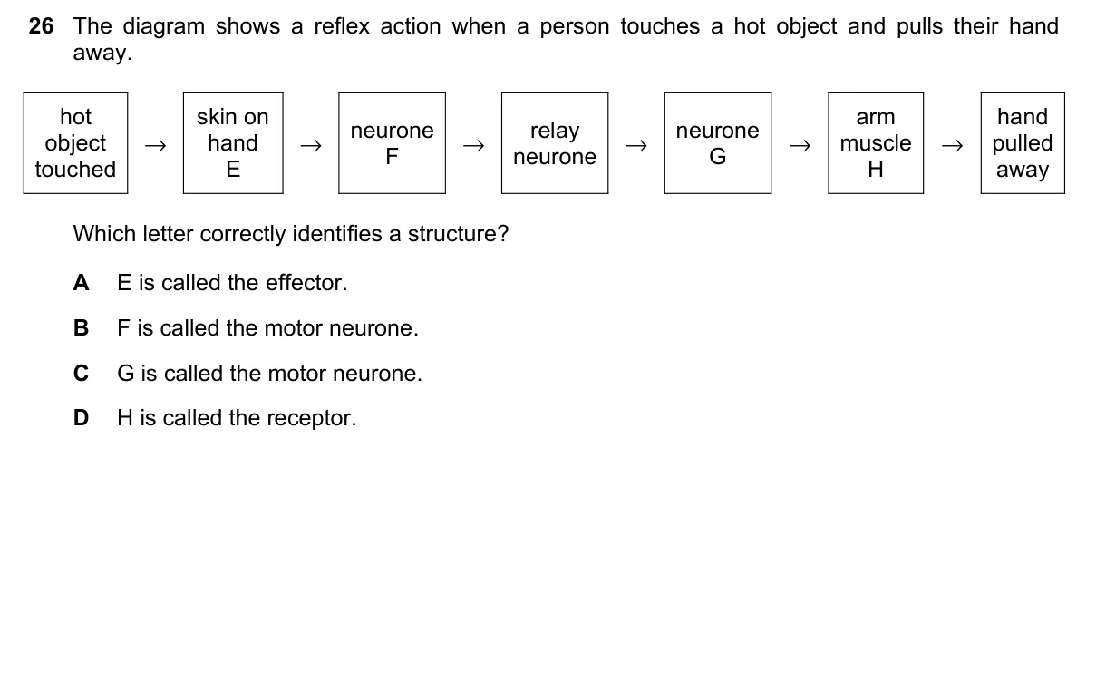Question 26, November 2023, 0610 Paper 23