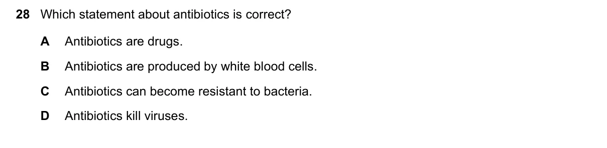 Question 28, November 2023, 0610 Paper 23