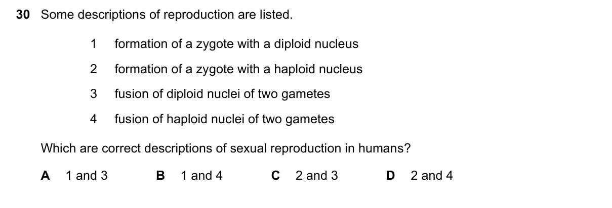 Question 30, November 2023, 0610 Paper 23