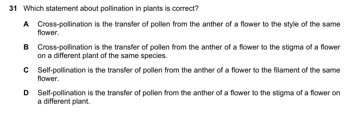 Question 31, November 2023, 0610 Paper 23
