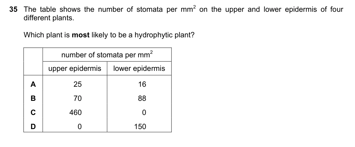 Question 35, November 2023, 0610 Paper 23