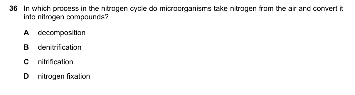 Question 36, November 2023, 0610 Paper 23