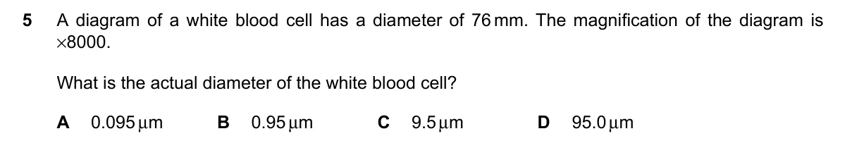 Question 5, November 2023, 0610 Paper 23