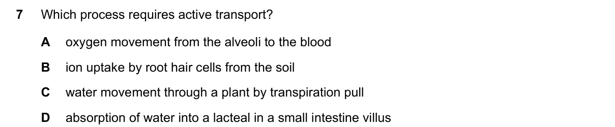 Question 7, November 2023, 0610 Paper 23