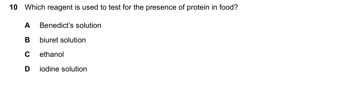 Question 10, March 2024, 0610 Paper 12