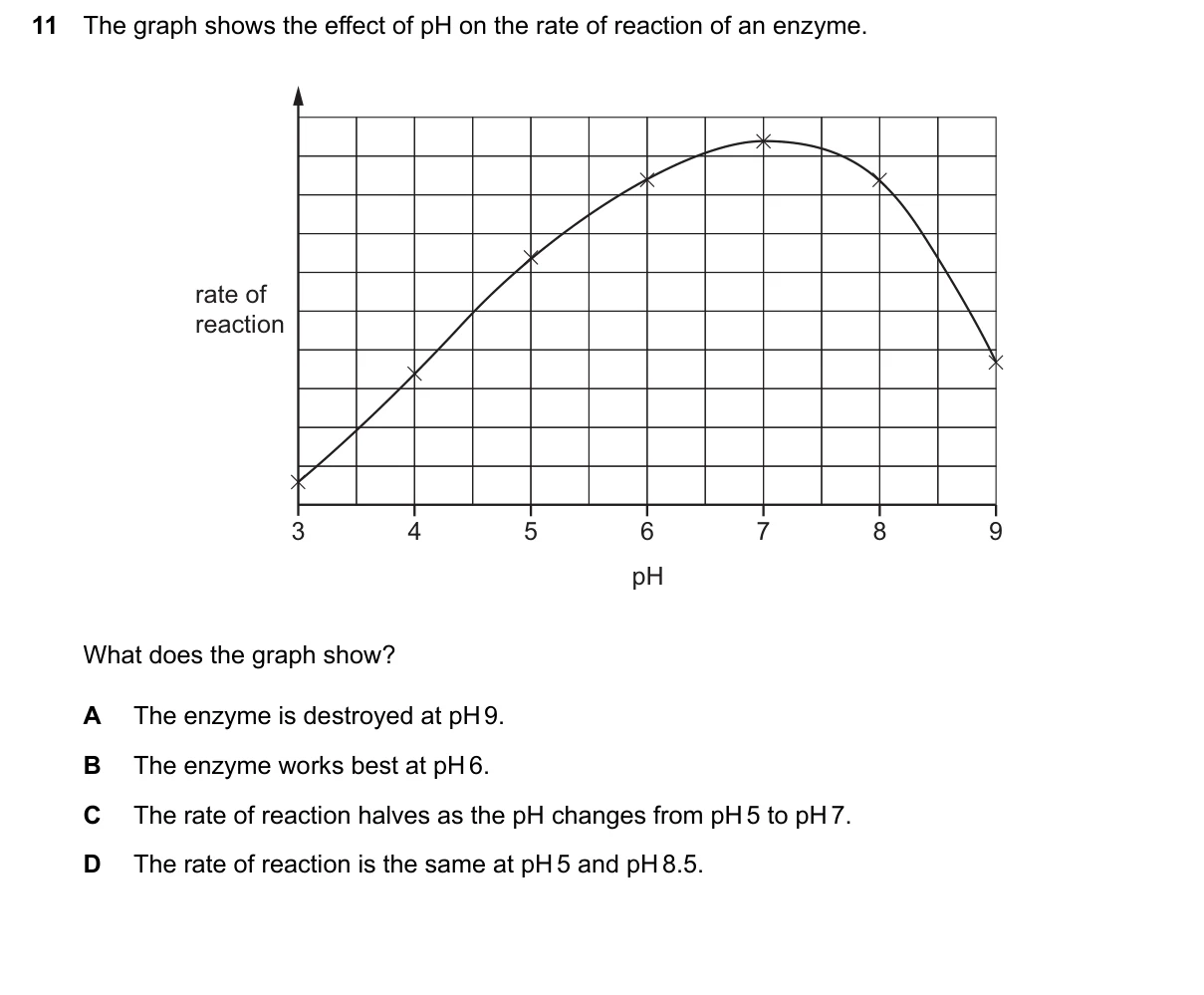 Question 11, March 2024, 0610 Paper 12