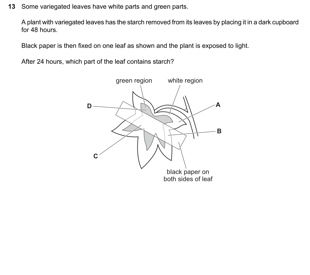 Question 13, March 2024, 0610 Paper 12