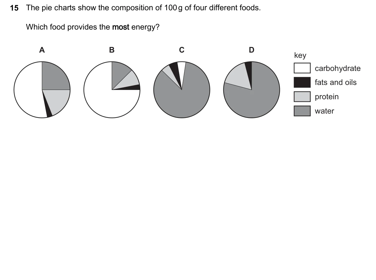 Question 15, March 2024, 0610 Paper 12
