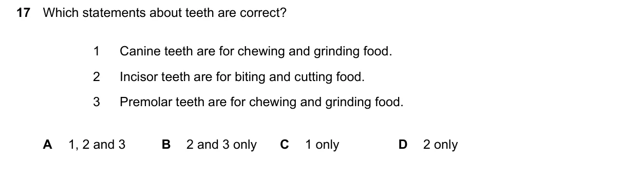 Question 17, March 2024, 0610 Paper 12